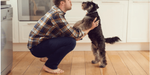 Photo of man talking to his dog